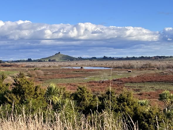 Whangamarino wetland under a big Waikato sky